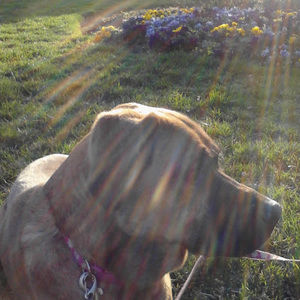 Meet your Posher, Misuk